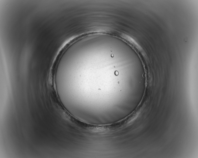 X0000086250883200704121950