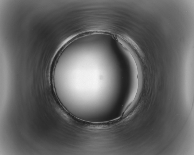X0000086250884200704121950