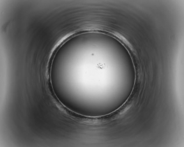 X0000086250885200704121950