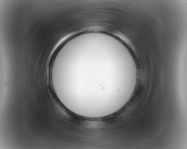 X0000086250886200704121950