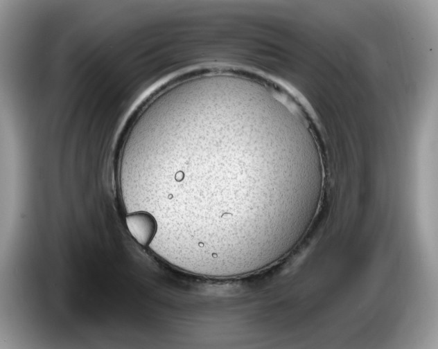 X0000086250887200704121950
