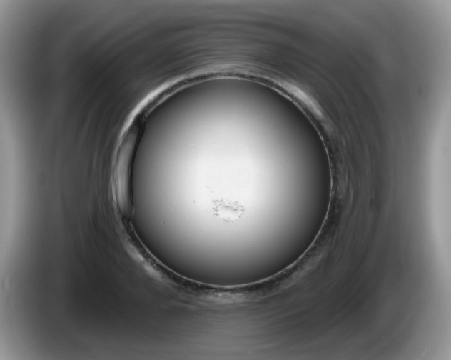 X0000086250888200704121950