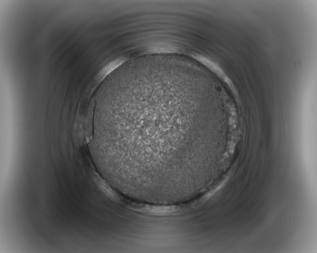 X0000086250889200704121950