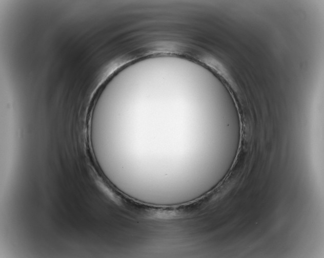 X0000086250890200704121950