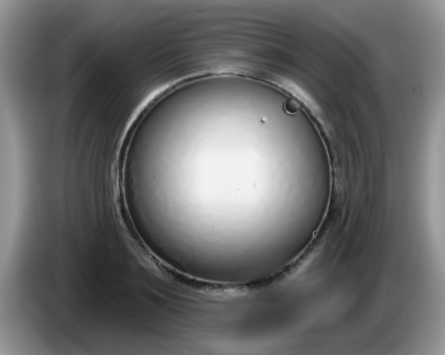 X0000086250891200704121950