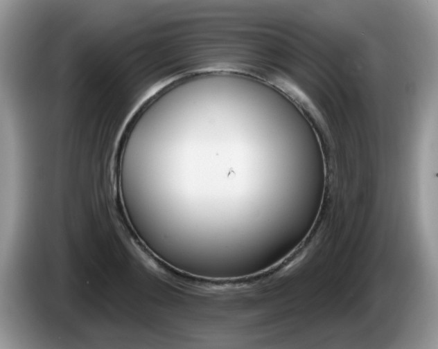 X0000086250892200704121950
