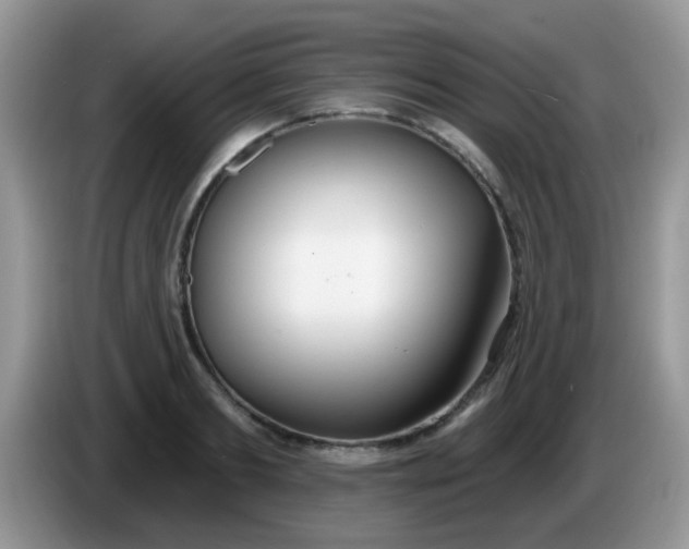 X0000086250893200704121950