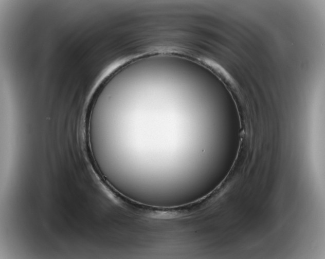 X0000086250894200704121950