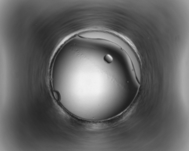 X0000086250895200704121950