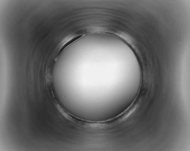 X0000086250897200704121949