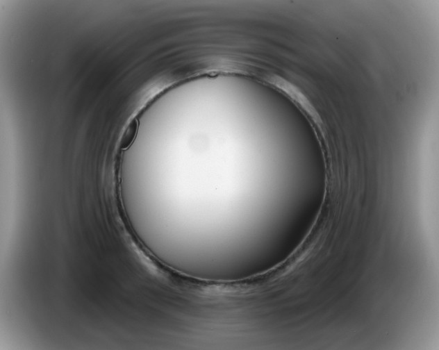 X0000086250898200704121949