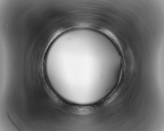 X0000086250899200704121949
