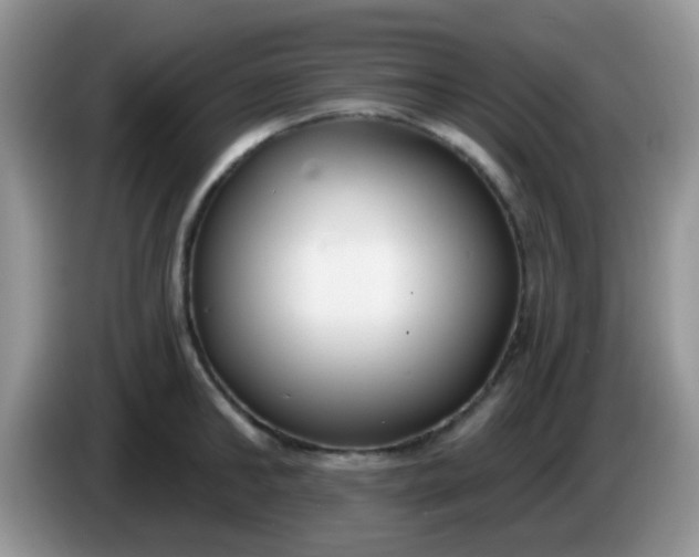 X0000086250902200704121949