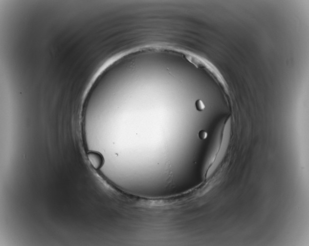 X0000086250903200704121949