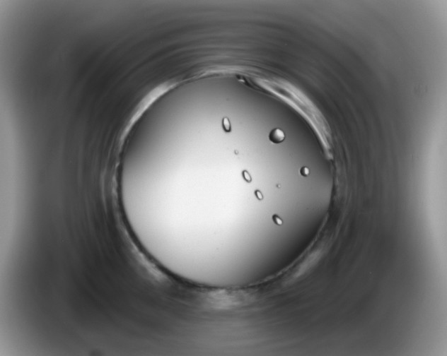 X0000086250906200704121949