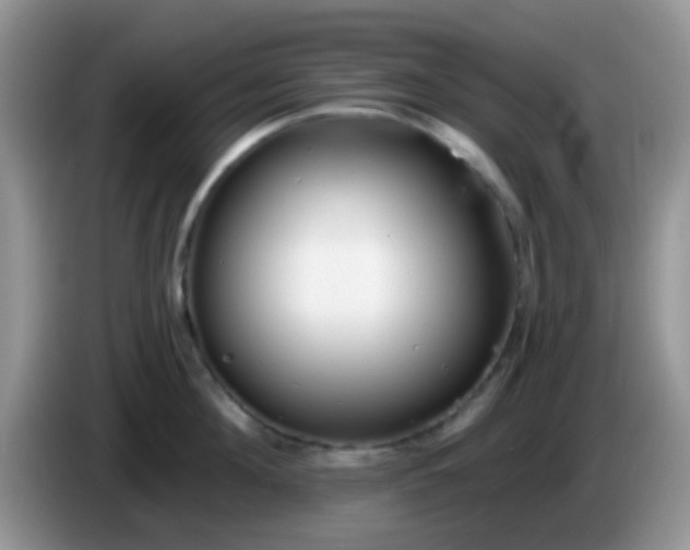 X0000086250908200704121949