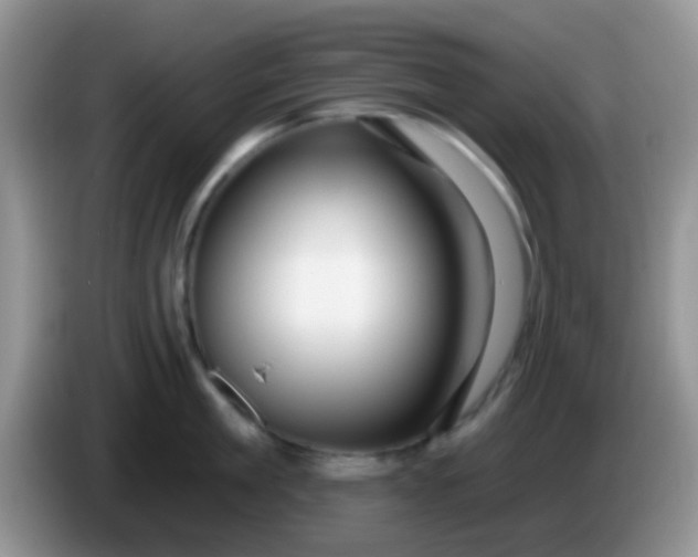 X0000086250909200704121949