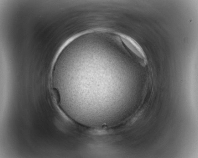X0000086250911200704121949