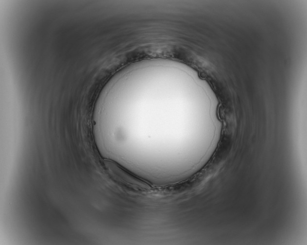 X0000086250913200704121949