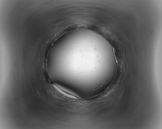 X0000086250916200704121949