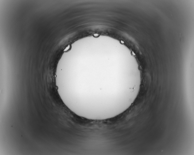 X0000086250918200704121949