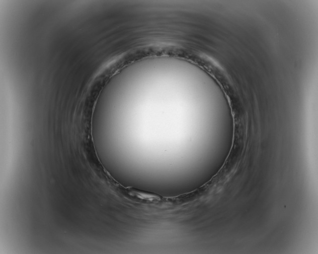X0000086250919200704121949