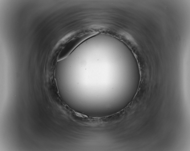 X0000086250920200704121949