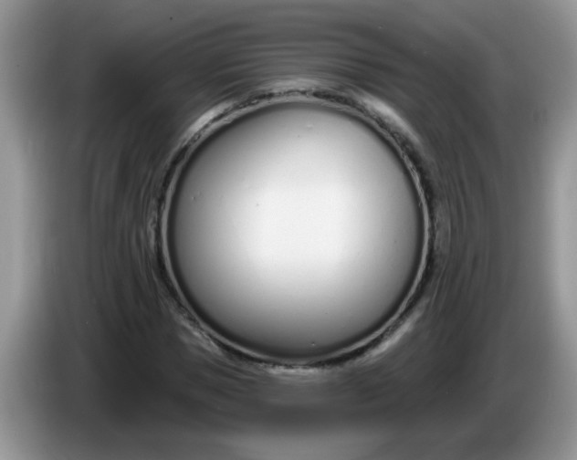 X0000086250921200704121949
