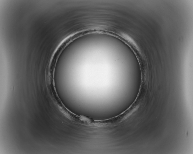 X0000086250924200704121949