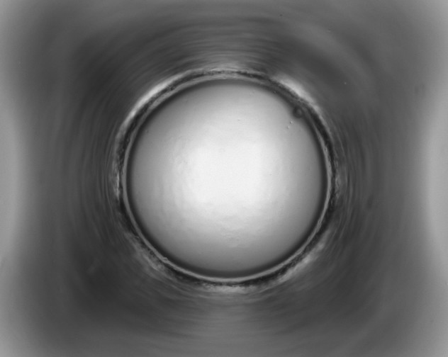 X0000086250925200704121949
