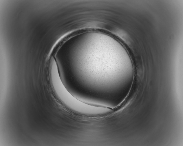 X0000086250926200704121949
