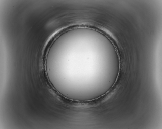 X0000086250927200704121949