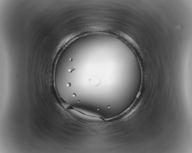 X0000086250930200704121949
