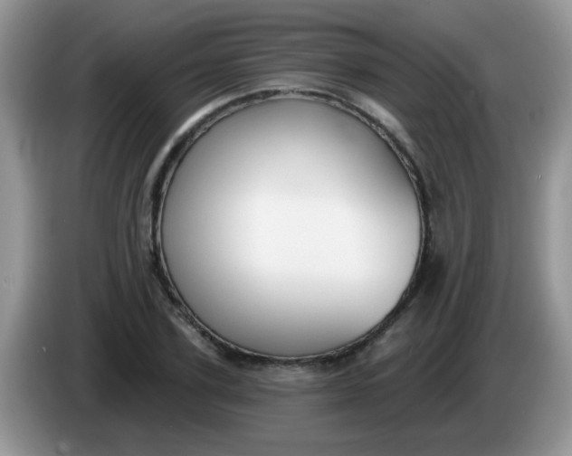 X0000086250931200704121949