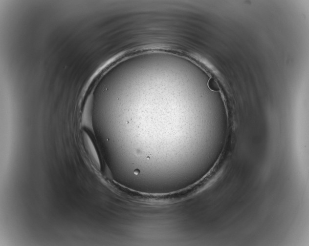 X0000086250933200704121949