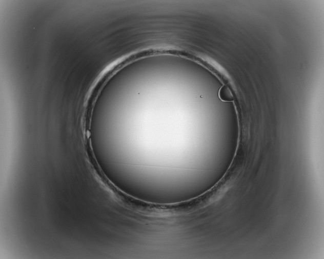 X0000086250935200704121949