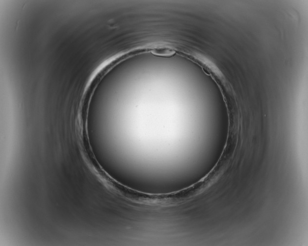 X0000086250936200704121949