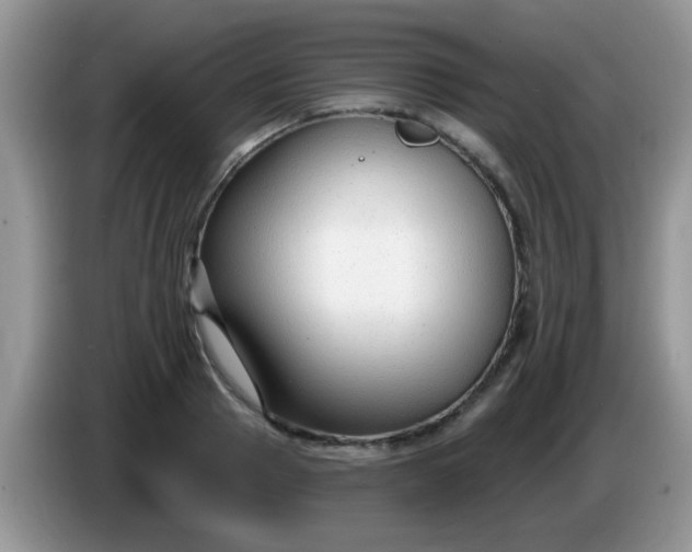 X0000086250937200704121949