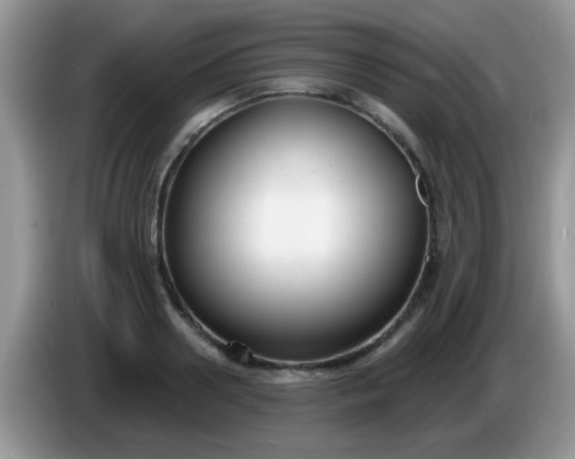 X0000086250938200704121949