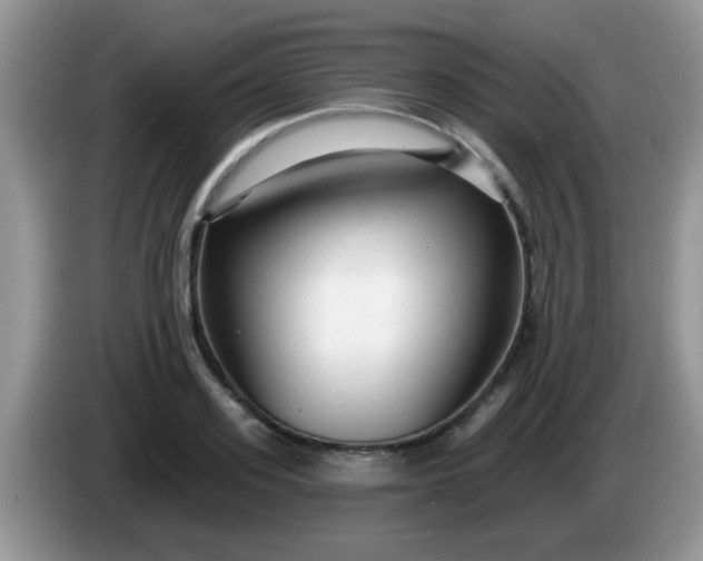 X0000086250939200704121949