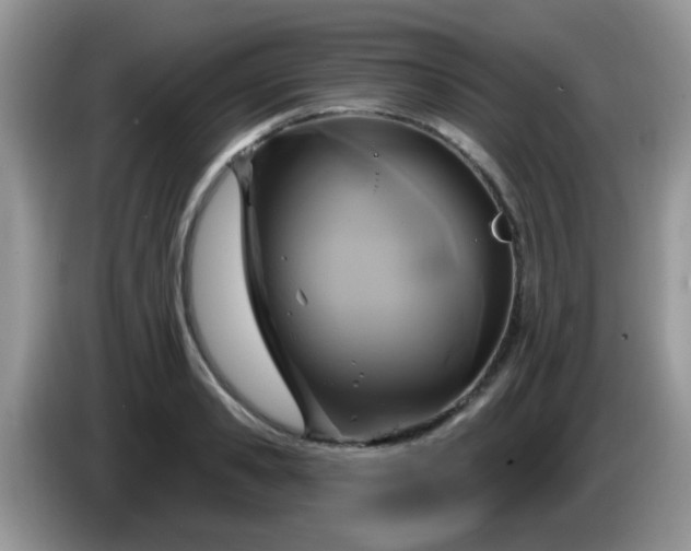 X0000086250941200704121949