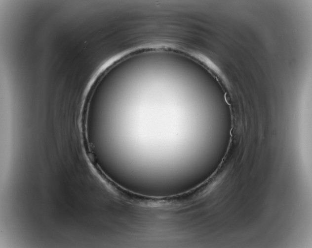 X0000086250943200704121949