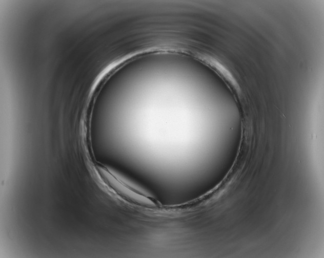 X0000086250944200704121949