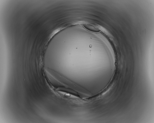 X0000086250945200704121949