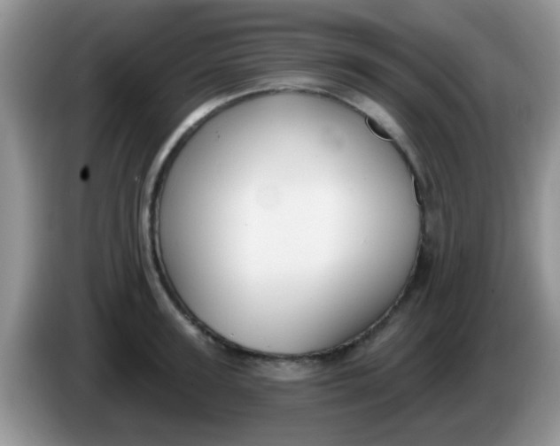 X0000086250947200704121949