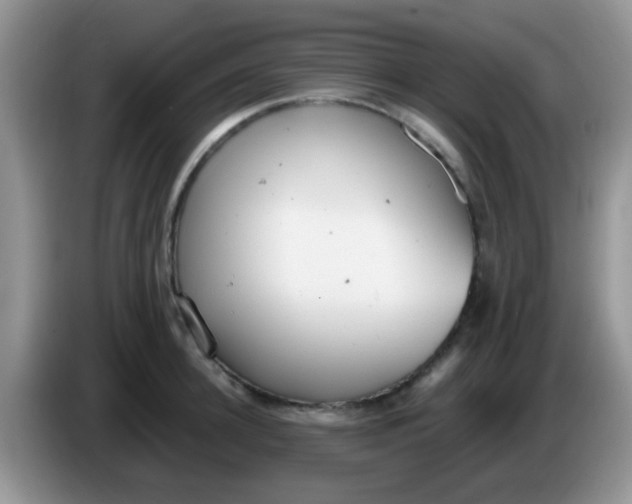 X0000086250948200704121949