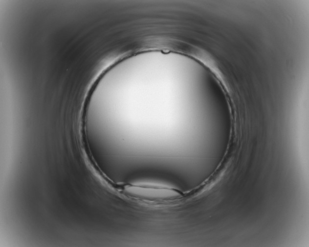 X0000086250949200704121949