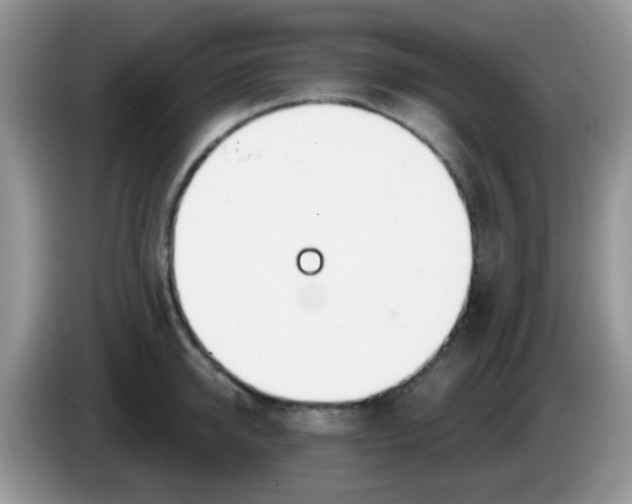 X0000086250950200704121949