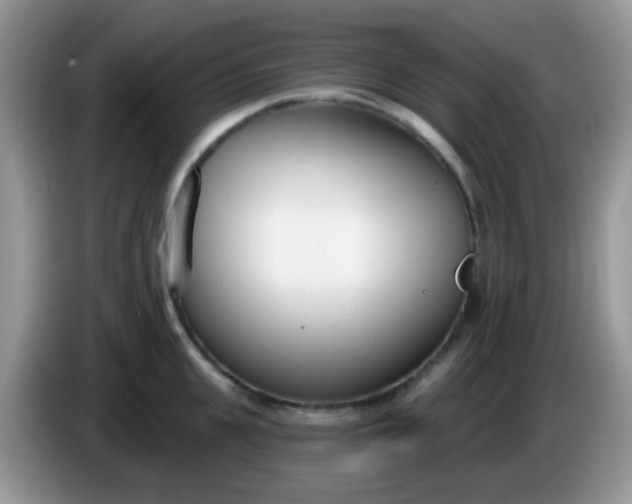 X0000086250951200704121949