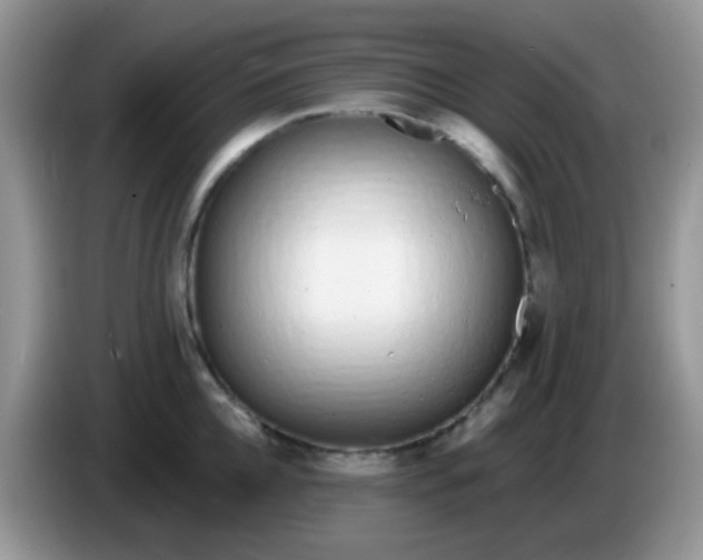 X0000086250952200704121949